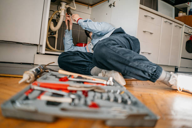 Best Water Softener Installation  in Richmond West, FL